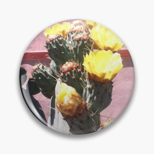 Cactus outside Jacumba Spa Pin