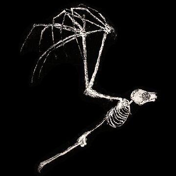 Artwork thumbnail, Skeleton Bat by SandDragonPress