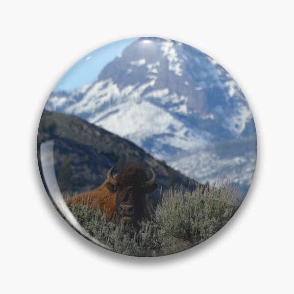 Artikelvorschau, Bison im Yellowstone, Yellowstone Montana, Yellowstone Wyoming, Bison in den Bergen entworfen und verkauft von naturecdesigns.