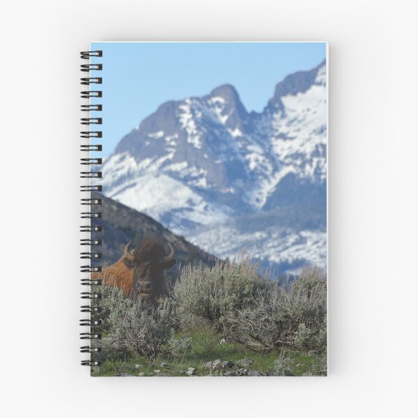 Item preview, Bison in Yellowstone, Yellowstone Montana,Yellowstone Wyoming, Bison in Mountains designed and sold by naturecdesigns.