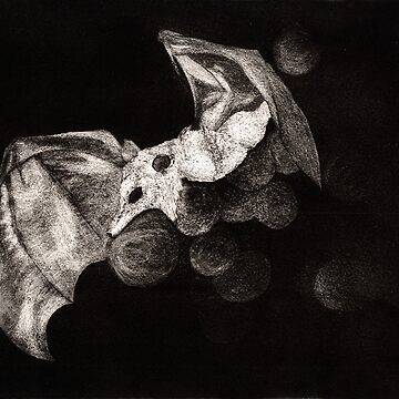 Artwork thumbnail, Fruit Bat by SandDragonPress