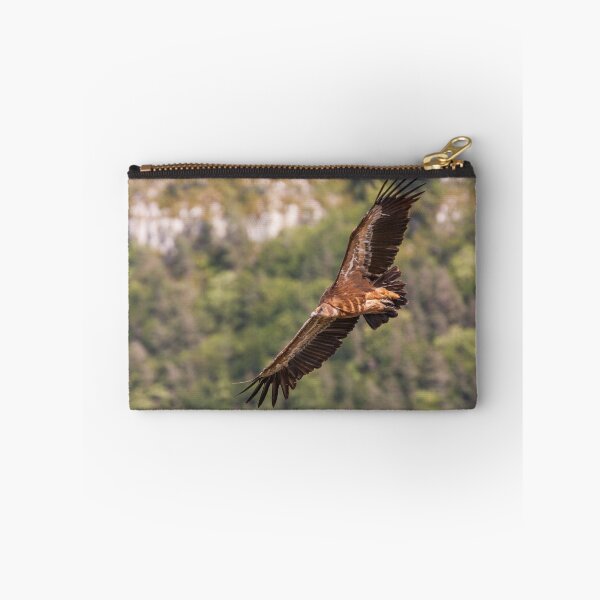 Aperçu de l'œuvre Griffon Vulture en vol créée et vendue par LaurentS.