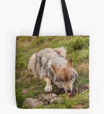 Wolf drinking Tote Bag