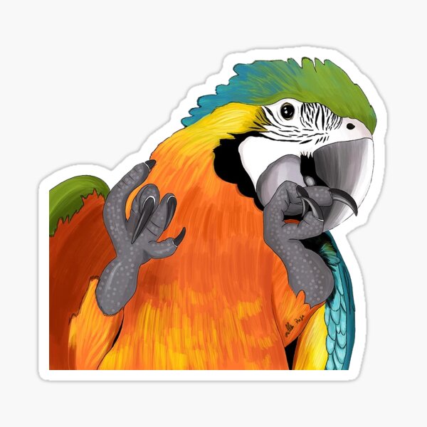 Blue & Yellow Macaw Sticker