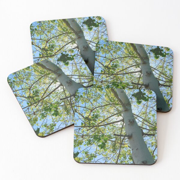 Item preview, Aspen Sky  designed and sold by foxandfernphoto.