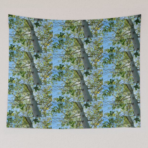Item preview, Aspen Sky  designed and sold by foxandfernphoto.