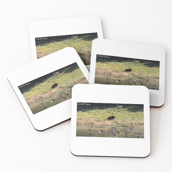 Item preview, Brown Bear | Photography | Nature | Gift Idea | Cute Decor designed and sold by GabrieTaylor.