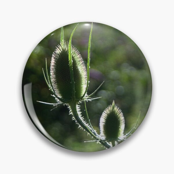 Item preview, Thistle into the natural light designed and sold by Between Clouds.