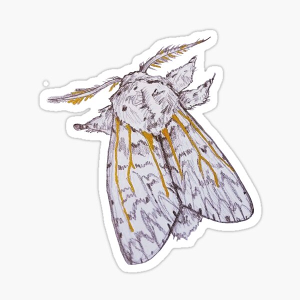 Fluffy Poodle Moth Sticker / Fluffy Moth Sticker / Cute Moth Sticker /  Vinyl Sticker / Water Bottle Sticker 