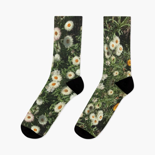 Item preview, Flowers, Divine - Daisy, the Day's Eyes Open designed and sold by RoseAromas.