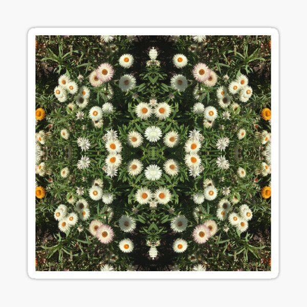 Item preview, Flowers, Divine - Daisy, the Day's Eyes Open designed and sold by RoseAromas.
