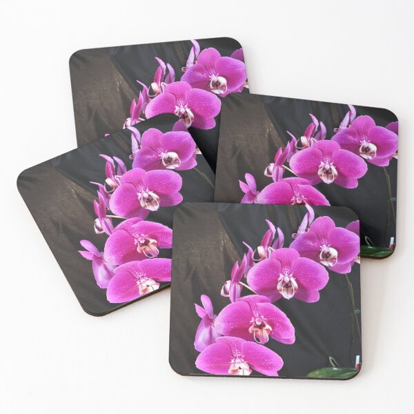 Item preview, Pink Phalaenopsis Orchid, Pink Orchid designed and sold by LadyKandis.