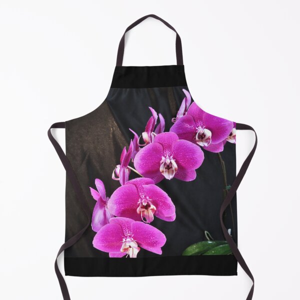 Item preview, Pink Phalaenopsis Orchid, Pink Orchid designed and sold by LadyKandis.