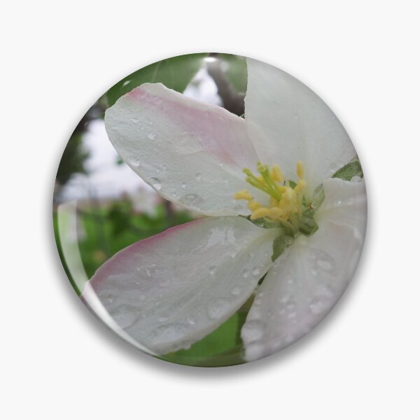 Item preview, rain on pretty pink flowers designed and sold by Sammi-Design.