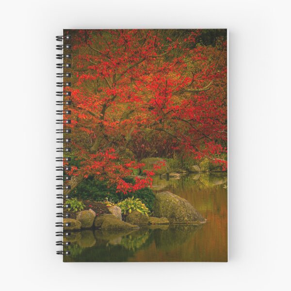 Item preview, meditation on red designed and sold by LaskoPhotos.