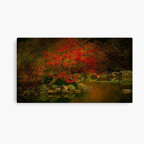 meditation on red Canvas Print