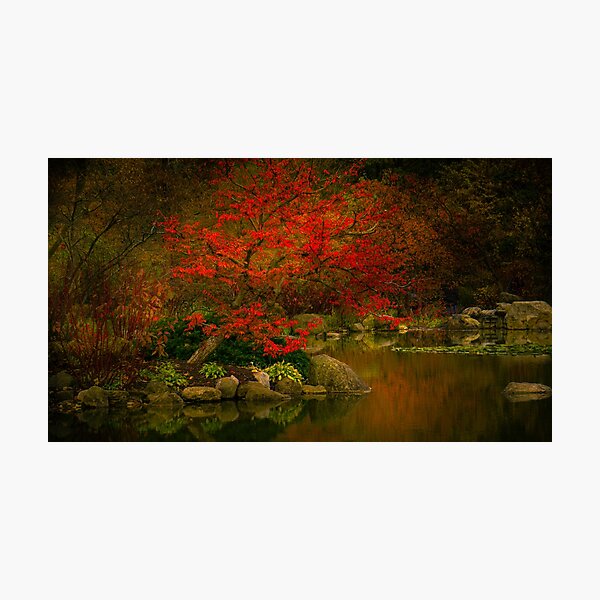 meditation on red Photographic Print