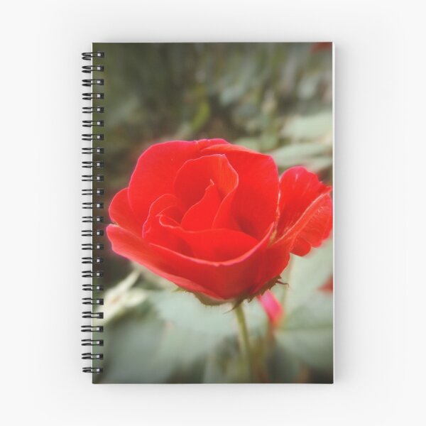 Item preview, Love is Alive designed and sold by Chanel70.