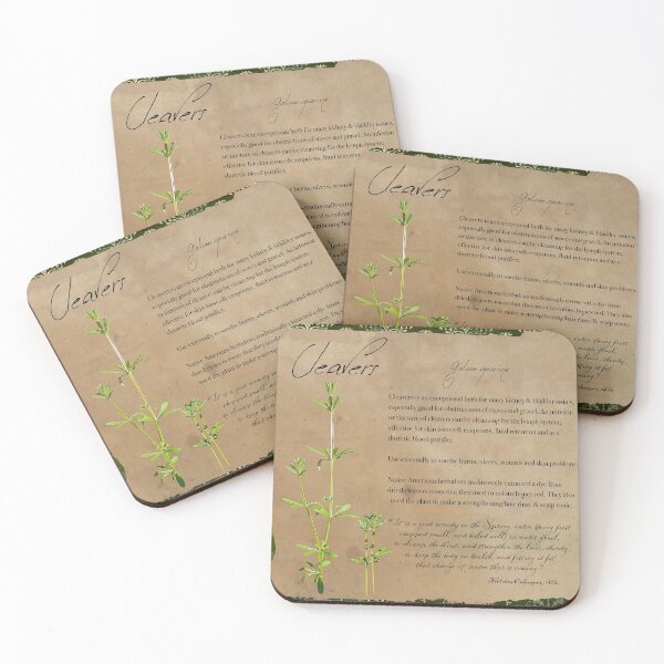 Item preview, Herbal Apothecary: Cleavers designed and sold by FigTreeMagick.