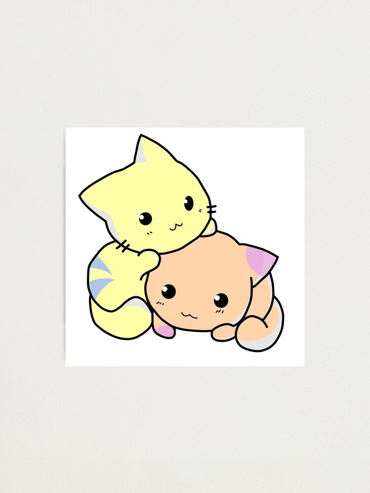 Two Adorable cartoon cats