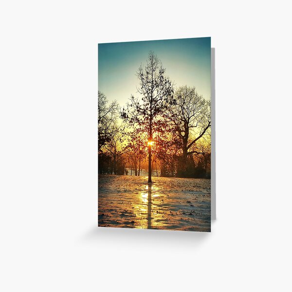 winter sunrise Greeting Card