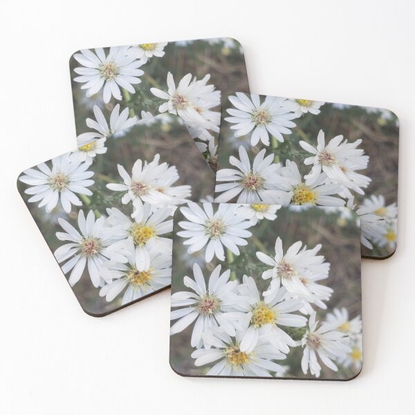 Item preview, White Asters designed and sold by regalviolet.