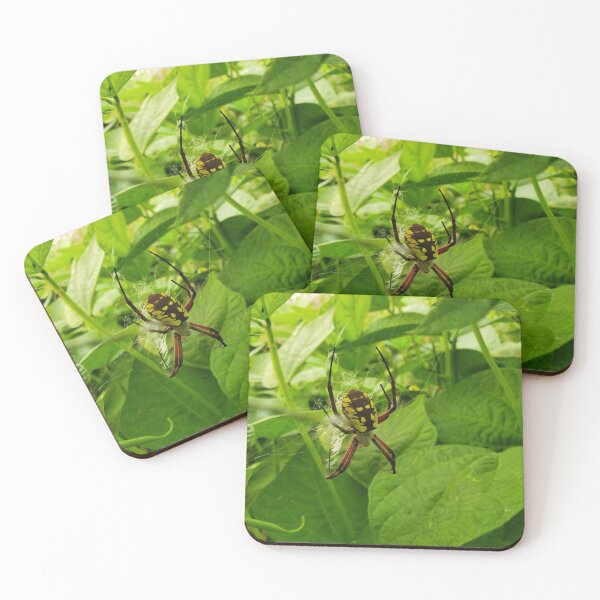 Item preview, Miss Spider designed and sold by laceymulfordart.