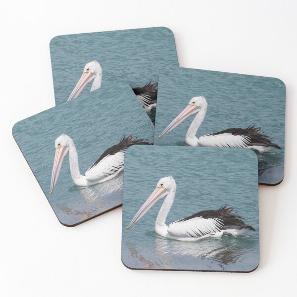 Item preview, Pelican Paddling in Tuggerah Lake at Terilbah Reserve The Entrance North NSW Central Coast of Australia designed and sold by suziq1962.