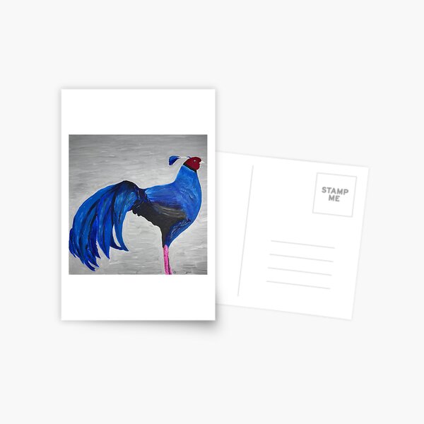 Male Pheasant Postcard