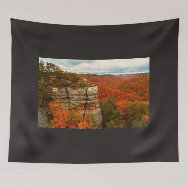 Artikelvorschau, Appalachian Cliff im Herbst entworfen und verkauft von Victoria Lynne Blakeman Bordelon.