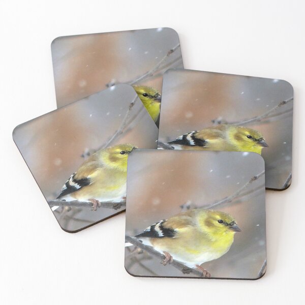 Item preview, Goldfinch designed and sold by Frankie Cat Photography.