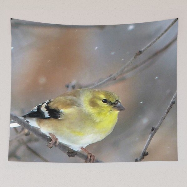 Item preview, Goldfinch designed and sold by Frankie Cat Photography.