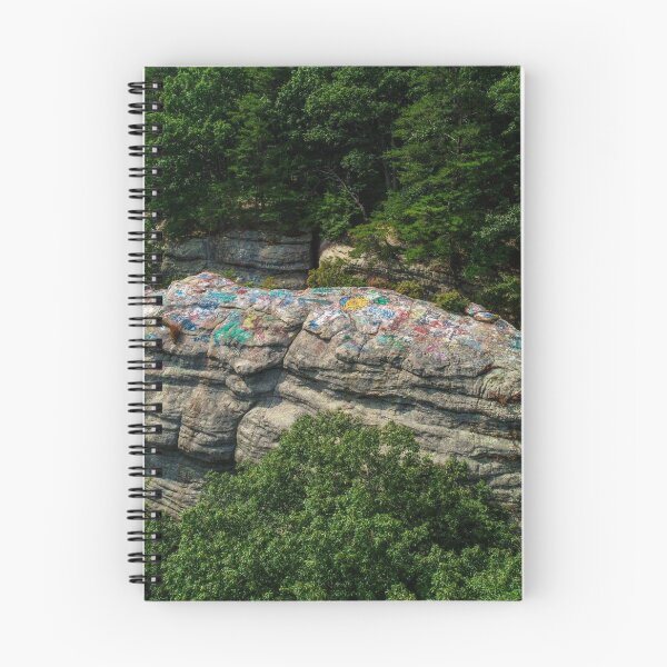 Item preview, Graffiti Rock designed and sold by Victoria Lynne Blakeman Bordelon.