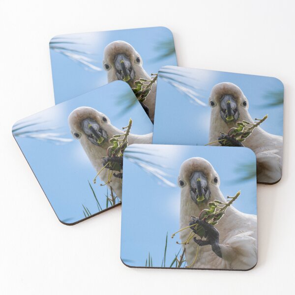 Item preview, Cockatoo Bird Nibbling on a Grevillea Flower NSW Central Coast of Australia designed and sold by suziq1962.