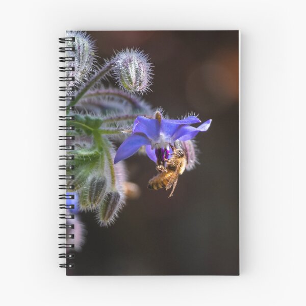 Item preview, Blue Borage Besmitten Bee Backed By Bokeh designed and sold by FigTreeMagick.
