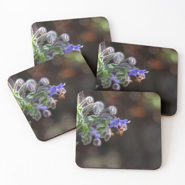 Item preview, Blue Borage Besmitten Bee Backed By Bokeh designed and sold by FigTreeMagick.