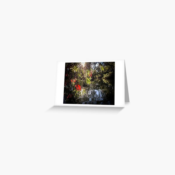 Callistemon on water Greeting Card