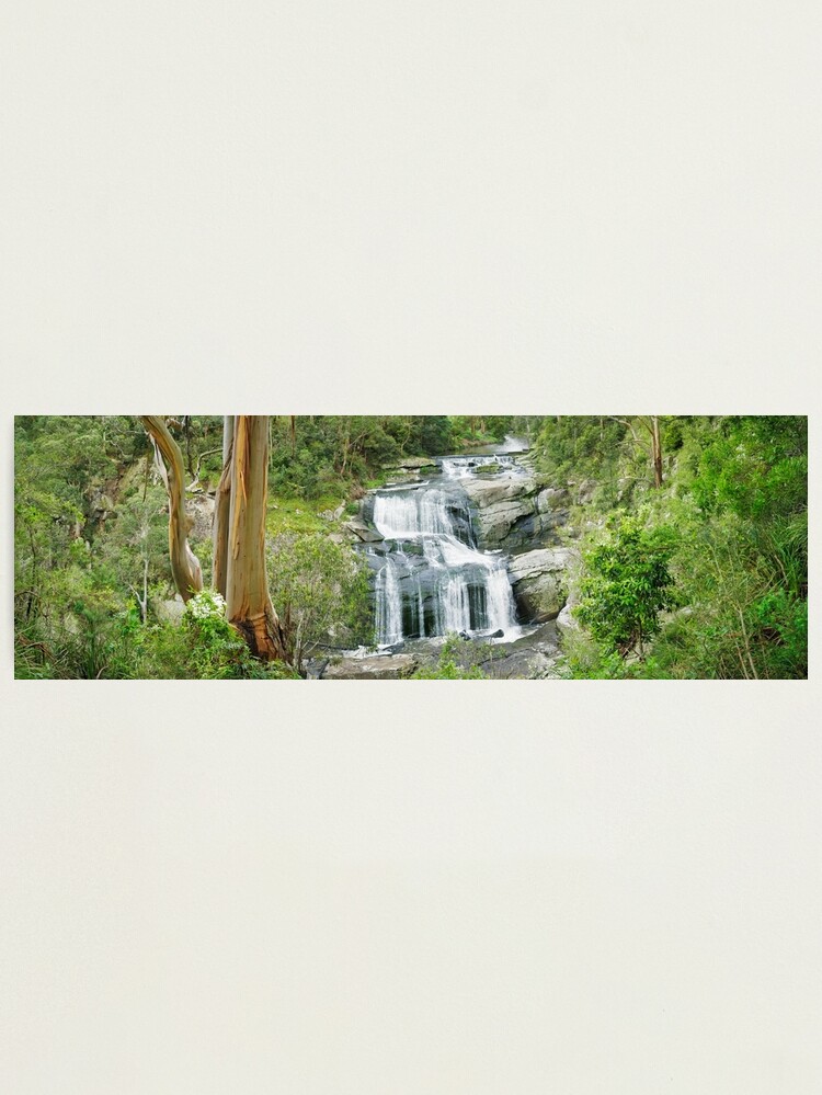 Thumbnail 1 of 3, Photographic Print, Agnes Falls, Welshpool, Victoria, Australia designed and sold by Chockstone.