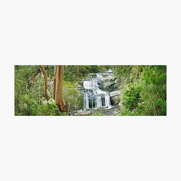 Photographic Print