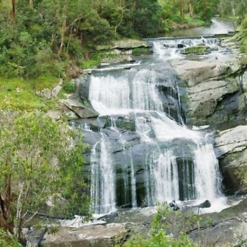Artwork thumbnail, Agnes Falls, Welshpool, Victoria, Australia by Michael Boniwell