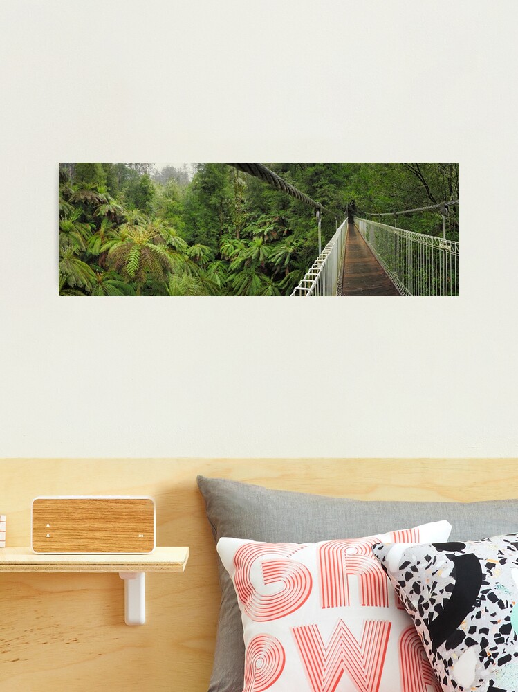 Thumbnail 2 of 3, Photographic Print, Tarra Bulga Suspension Bridge Victoria, Australia designed and sold by Chockstone.