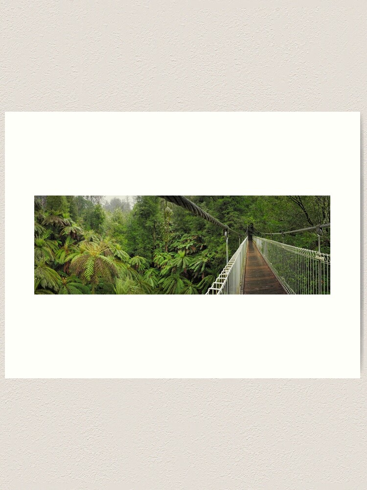 Thumbnail 1 of 3, Art Print, Tarra Bulga Suspension Bridge Victoria, Australia designed and sold by Chockstone.