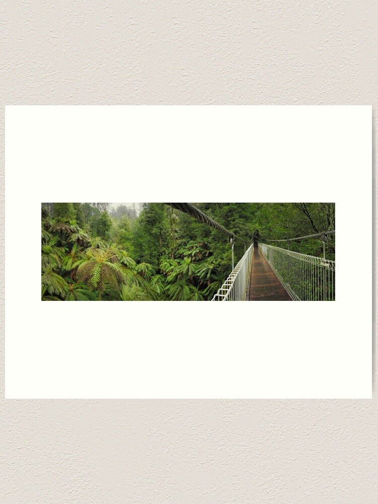 Thumbnail 1 of 3, Art Print, Tarra Bulga Suspension Bridge Victoria, Australia designed and sold by Chockstone.