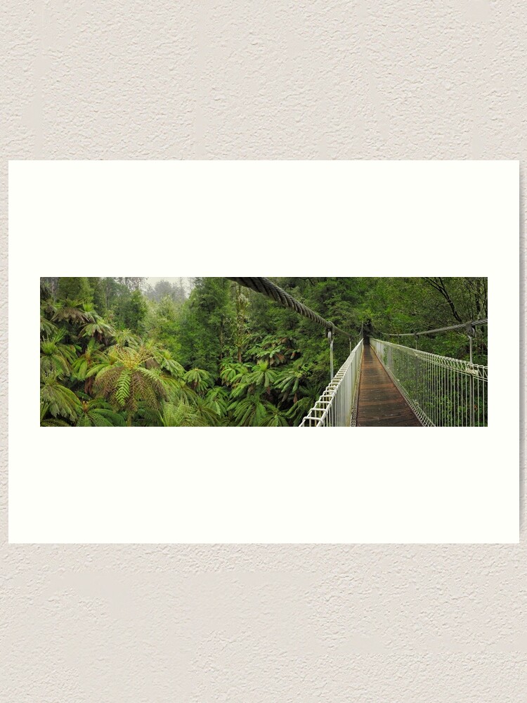 Thumbnail 1 of 3, Art Print, Tarra Bulga Suspension Bridge Victoria, Australia designed and sold by Chockstone.