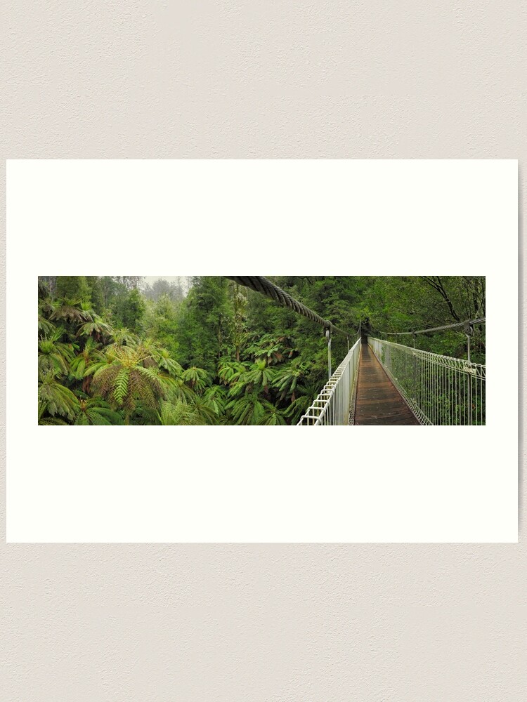 Thumbnail 1 of 3, Art Print, Tarra Bulga Suspension Bridge Victoria, Australia designed and sold by Chockstone.