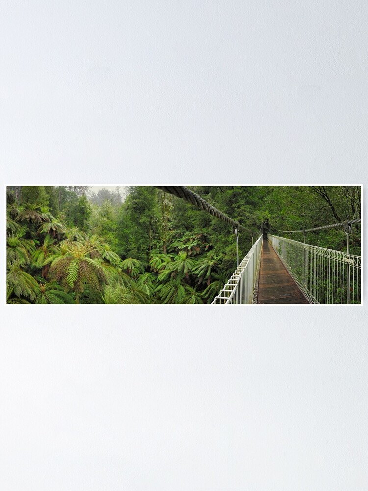 Thumbnail 1 of 3, Poster, Tarra Bulga Suspension Bridge Victoria, Australia designed and sold by Chockstone.