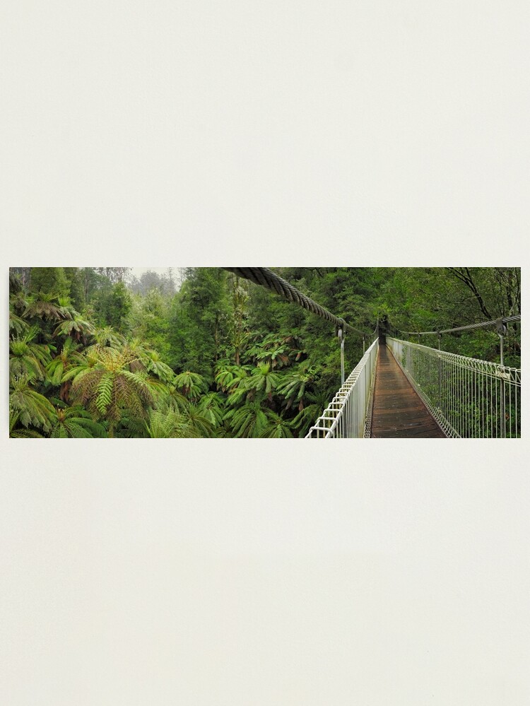 Thumbnail 1 of 3, Photographic Print, Tarra Bulga Suspension Bridge Victoria, Australia designed and sold by Chockstone.