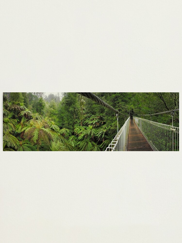 Thumbnail 1 of 3, Photographic Print, Tarra Bulga Suspension Bridge Victoria, Australia designed and sold by Chockstone.