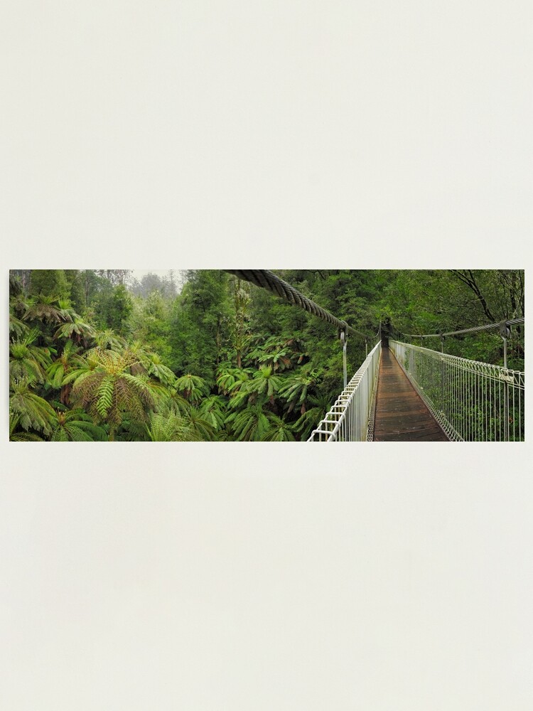 Thumbnail 1 of 3, Photographic Print, Tarra Bulga Suspension Bridge Victoria, Australia designed and sold by Chockstone.