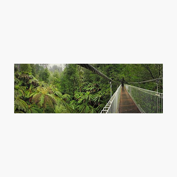 Photographic Print